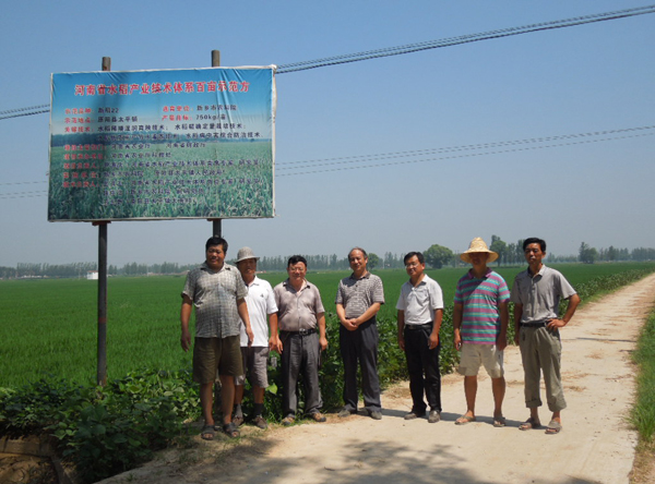 河南省水稻产业技术体系百亩示范方